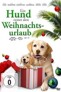 The Dog Who Saved the Holidays - Poster