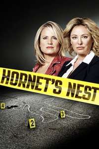 Hornet's Nest - Poster