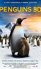 The Penguin King