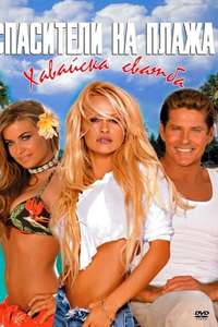 Baywatch: The Reunion - Poster