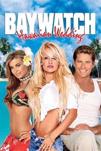 Baywatch: The Reunion - Poster
