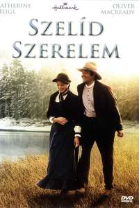 Love Comes Softly - Poster