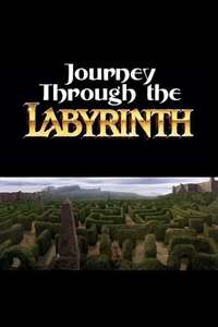 Journey Through the Labyrinth - Poster