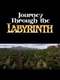 Journey Through the Labyrinth