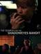 Timmy Muldoon and the Search for the Shadoweyes Bandit