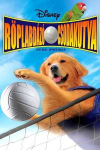 Air Bud: Spikes Back - Poster
