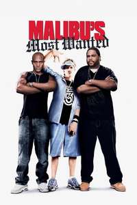 Malibu's Most Wanted - Poster