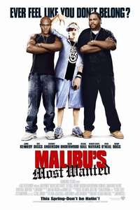 Malibu's Most Wanted - Poster