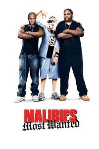 Malibu's Most Wanted - Poster