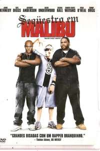 Malibu's Most Wanted - Poster