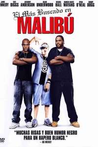 Malibu's Most Wanted - Poster
