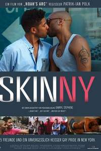 The Skinny - Poster