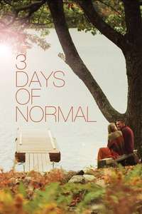 3 Days of Normal - Poster