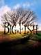 Big Fish