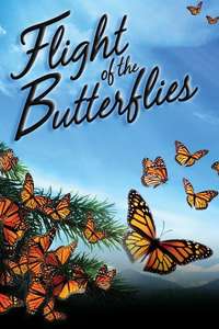 Flight of the Butterflies - Poster