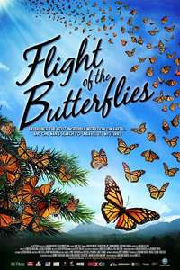 Flight of the Butterflies - Poster