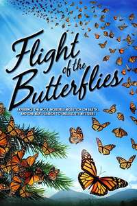 Flight of the Butterflies - Poster