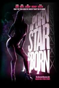 A Porn Star Is Born - Poster