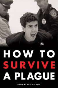 How to Survive a Plague - Poster