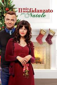 Hitched for the Holidays - Poster