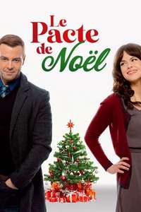 Hitched for the Holidays - Poster