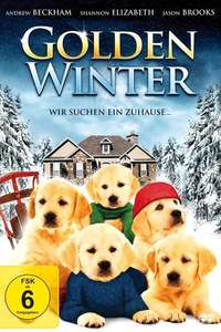 Golden Winter - Poster