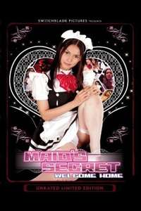 Maid's Secret - Poster