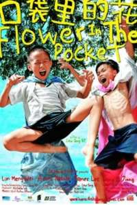 Flower in the Pocket - Poster