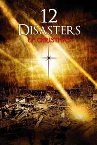The 12 Disasters of Christmas - Poster