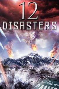 The 12 Disasters of Christmas - Poster