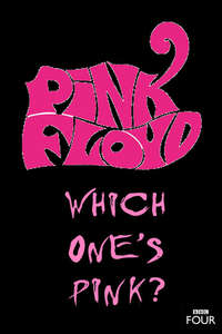 The Pink Floyd Story: Which One's Pink? - Poster