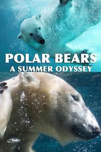 Polar Bears: A Summer Odyssey - Poster