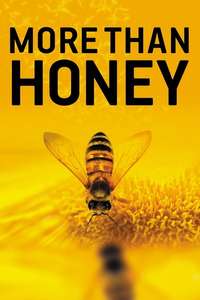 More than Honey - Poster