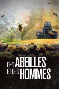 More than Honey - Poster