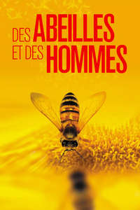More than Honey - Poster