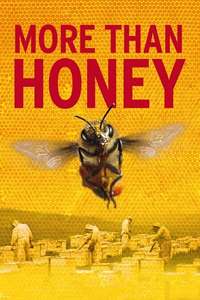 More than Honey - Poster