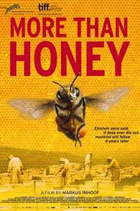 More than Honey - Poster