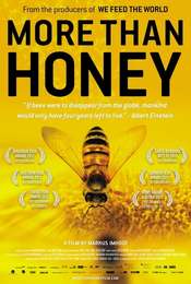 More than Honey