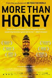 More than Honey - Poster