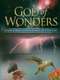 God of Wonders