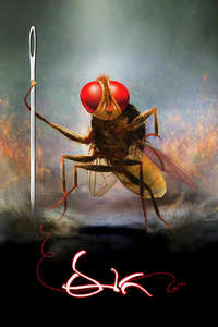 Eega - Posters