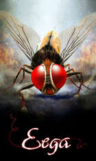 Eega