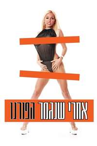 After Porn Ends - Poster