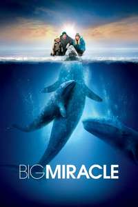 Big Miracle - Poster