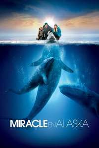 Big Miracle - Poster