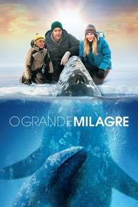 Big Miracle - Poster