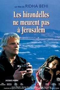 Swallows Never Die in Jerusalem - Poster