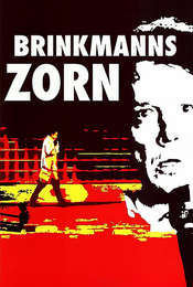 Brinkmanns Zorn