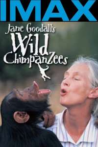 Jane Goodall's Wild Chimpanzees - Poster