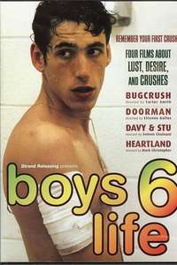 Boys Life 6 - Poster